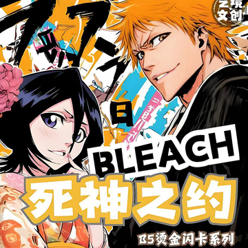 yijingwenchuang Bleach B5 flashcard